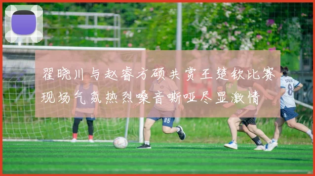 翟晓川与赵睿方硕共赏王楚钦比赛现场气氛热烈嗓音嘶哑尽显激情