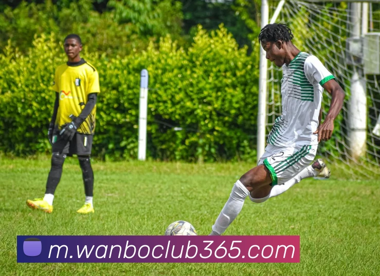 万博体育服务体系